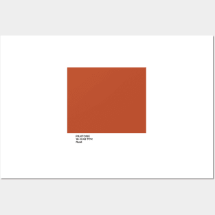 pantone 18-1248 TCX Rust Posters and Art